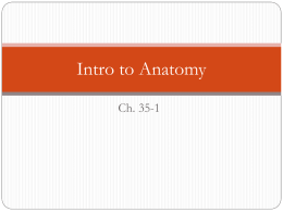 Intro to Anatomy Ch. 35-1   I.  Organization of the Human Body (Review) A. Cells: Basic unit of structure and function B.