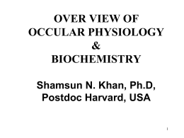 OVER VIEW OF OCCULAR PHYSIOLOGY & BIOCHEMISTRY Shamsun N. Khan, Ph.D, Postdoc Harvard, USA The Eye.