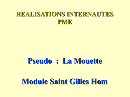 REALISATIONS INTERNAUTES PME  Pseudo : La Mouette Module Saint Gilles Hom Pseudo : La Mouette 030 BM Gécomodel Hom.