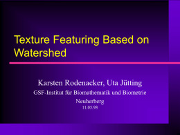 Texture Featuring Based on Watershed Karsten Rodenacker, Uta Jütting GSF-Institut für Biomathematik und Biometrie Neuherberg 11.05.98