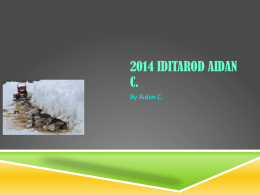 2014 IDITAROD AIDAN C. By Aidan C.   INTRODUCTION The Iditarod is a race to Nome.