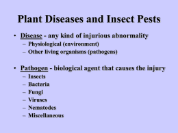 Plant Diseases and Insect Pests • Disease - any kind of injurious abnormality – Physiological (environment) – Other living organisms (pathogens)  • Pathogen -