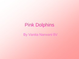Pink Dolphins By Vanita Narwani 8V How are they important?  Their good natural creatures of environment. They help scientist preserve environment.