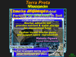 Terra Preta  Micropores Research Substrate Chunks of Char Sponge nutrient internalsupplies storage for capacity soil life “microbial reef”  water & nutrient adsorption residential spacetofor microbes Terra Preta is equivalent coral reef in the sea stable, complex slow, gradualcommunities release Biochar added to soil provides nutrient & water storage for mycorrhizal fungi Hyphae.