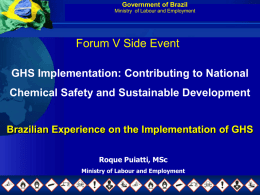 Government of Brazil Ministry of Labour and Employment  Forum V Side Event GHS Implementation: Contributing to National Chemical Safety and Sustainable Development  Brazilian Experience on.