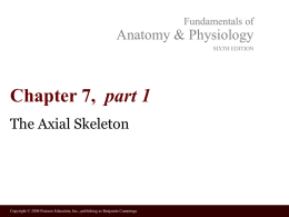 Fundamentals of  Anatomy & Physiology SIXTH EDITION  Chapter 7, part 1 The Axial Skeleton  Copyright © 2004 Pearson Education, Inc., publishing as Benjamin Cummings.