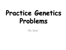 Practice Genetics Problems Oh, boy!   Problem #1 In pea plants, the allele for green pods (G) is dominant and the allele for yellow pods (g)