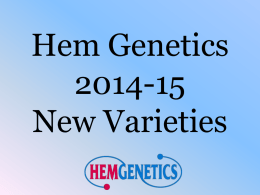 Hem Genetics 2014-15 New Varieties Hem Genetics New Varieties 2013/14 • 3 new Low Grow items, 2 Mambo *GP* Petunias, and 1 Nano Geranium variety •