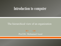 The hierarchical view of an organization     Prof.Dr: Mohamed Assal The Internet and World Wide Web have greatly affected the way most of.