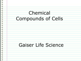Chemical Compounds of Cells  Gaiser Life Science Know  Chemical Compounds of Cells  Why is water one of the most important compounds for cells to function?  Evidence Draw.