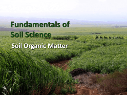 Fundamentals of Soil Science Soil Organic Matter Lecture 5 Creating SOM Learning Objectives • Lecture 5 – − Describe the importance of Carbon to Nitrogen ratio.