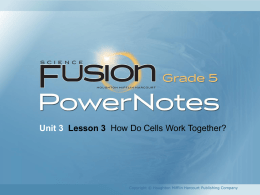 Unit 3 Lesson 3 How Do Cells Work Together?  Copyright © Houghton Mifflin Harcourt Publishing Company.