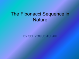 The Fibonacci Sequence in Nature  BY SEHYOGUE AULAKH   Leonardo Fibonacci Fibonacci was an Italian mathematician who discovered a very special sequence of numbers that is.