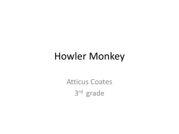 Howler Monkey Atticus Coates 3rd grade   Lives • Howler monkeys live in North America . • They live in South America. • They live in the forest.   Diet and.