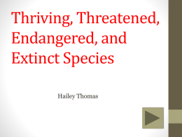 Thriving, Threatened, Endangered, and Extinct Species Hailey Thomas • Content Area: Science • Grade Level: 3rd Grade • Summary: The purpose of this instructional PowerPoint.