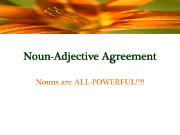 Noun-Adjective Agreement Nouns are ALL-POWERFUL!!!!! *Adjectives are words that describe nouns. *In English, adjectives usually come before nouns. *Example in English: the serious student  adjective noun.