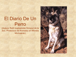 El Diario De Un Perro (Autora: Ruth Icazbalceta Ormond de la Soc. Protectora de Animales en Morelia Michoacán)