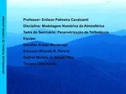 Professor: Enilson Palmeira Cavalcanti Disciplina: Modelagem Numérica da Atmosférica Tema do Seminário: Parametrização de Turbulência Equipe:  Ednaldo Araújo Mendonça Emerson Ricardo R.