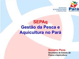 SEPAq Gestão da Pesca e Aquicultura no Pará  Socorro Pena Secretária de Estado de Pesca e Aqüicultura.