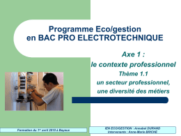 Programme Eco/gestion en BAC PRO ELECTROTECHNIQUE Axe 1 : le contexte professionnel Thème 1.1 un secteur professionnel, une diversité des métiers  Formation du 1er avril 2010 à.