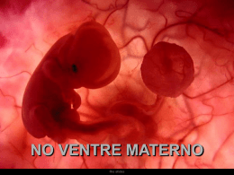 Um feto de poucas semanas encontra-se NO VENTRE MATERNO no interior do útero de sua mãe. Ria slides.