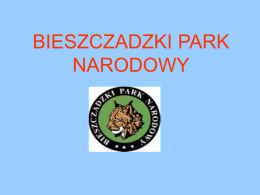 BIESZCZADZKI PARK NARODOWY   HISTORIA Bieszczadzki Park Narodowy jest trzecim co do wielkości parkiem narodowym na terenie Polski.