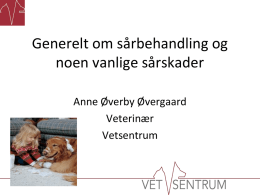 Generelt om sårbehandling og noen vanlige sårskader Anne Øverby Øvergaard Veterinær Vetsentrum Generelt om sårbehandling hjemme.   Still deg selv disse spørsmålene::  - er såret dypt eller langt.
