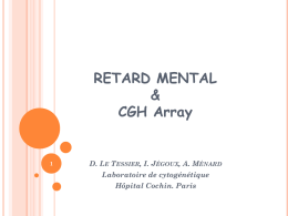RETARD MENTAL & CGH Array  D. LE TESSIER, I. JÉGOUX, A. MÉNARD Laboratoire de cytogénétique Hôpital Cochin.