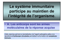 Le système immunitaire participe au maintien de l’intégrité de l’organisme. • A. Les anticorps sont les armes moléculaires de la réponse acquise Cette réponse permet.