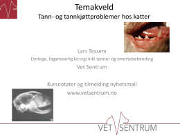 Temakveld Tann- og tannkjøttproblemer hos katter  Lars Tessem Dyrlege, fagansvarlig kirurgi inkl tenner og smertebehanding  Vet Sentrum Kursnotater og tilmelding nyhetsmail www.vetsentrum.no.