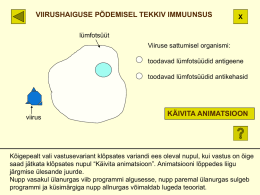 VIIRUSHAIGUSE P&Otilde;DEMISEL TEKKIV IMMUUNSUS  X  l&uuml;mfots&uuml;&uuml;t Viiruse sattumisel organismi: toodavad l&uuml;mfots&uuml;&uuml;did antigeene toodavad l&uuml;mfots&uuml;&uuml;did antikehasid  viirus  K&Auml;IVITA ANIMATSIOON  K&otilde;igepealt vali vastusevariant kl&otilde;psates variandi ees oleval nupul, kui vastus.
