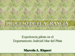 PROCESO DE FLAGRANCIA Experiencia piloto en el Departamento Judicial Mar del Plata Marcelo A.