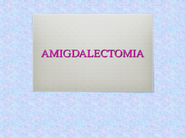 AMIGDALECTOMIA Identificación y Descripción del Procedimiento  La Amigdalectomia es la intervención quirúrgica en la  que se extirpan las amígdalas situadas a ambos.