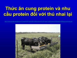 Thức ăn cung protein và nhu cầu protein đối với thú nhai lại http://www.anslab.iastate.edu/Class/AnS419/2008%20Ruminant%20Protein%20Systems%20and%20Requirements.ppt   Các kiểu trao đổi hợp chất chứa Nitregen trong dạ
