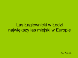 Las Łagiewnicki w Łodzi największy las miejski w Europie  Alan Woźniak   Las Łagiewnicki znajduje się w północnowschodniej części Łodzi, ok.