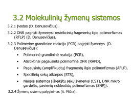 3.2 Molekulinių žymenų sistemos 3.2.1 Įvadas (D. Danusevičius). 3.2.2 DNR pagrįsti žymenys: restrikcinių fragmentų ilgio polimorfizmas (RFLP) (D.