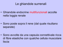 Le ghiandole surrenali • Ghiandole endocrine multifunzionali accolte nella loggia renale • Sono poste sopra il rene (dal quale risultano separate) • Sono avvolte da.