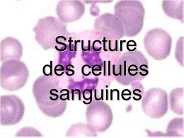 Structure des cellules sanguines Etape n°1: Réalisation d’un frottis sanguin Réalisation d’un frottis sanguin 1) Dépôt d’une goutte de sang sur une lame de verre.