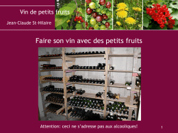Vin de petits fruits Jean-Claude St-Hilaire  Faire son vin avec des petits fruits  Attention: ceci ne s’adresse pas aux alcooliques!   Vin de petits fruits  Le.