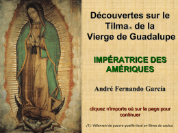 Découvertes sur le Tilma de la Vierge de Guadalupe (1)  IMPÉRATRICE DES AMÉRIQUES André Fernando García cliquez n'importe où sur la page pour continuer (1): Vêtement de pauvre qualité.