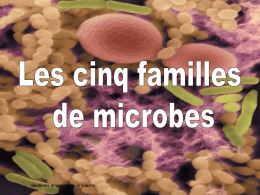 Bactéries et levures de la bouche   Les virus • Les virus sont à la limite du vivant et du non vivant, car ils peuvent.