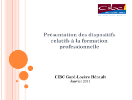Présentation des dispositifs relatifs à la formation professionnelle  CIBC Gard-Lozère Hérault Janvier 2011   LE CIBC GARD LOZÈRE HÉRAULT     Le CIBC Gard Lozère Hérault est une structure paritaire.
