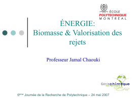 ÉNERGIE: Biomasse & Valorisation des rejets Professeur Jamal Chaouki  6ème Journée de la Recherche de Polytechnique – 24 mai 2007   Objectifs        Biomasse et déchets solides Bioraffinerie de.