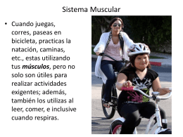 Sistema Muscular • Cuando juegas, corres, paseas en bicicleta, practicas la natación, caminas, etc., estas utilizando tus músculos, pero no solo son útiles para realizar actividades exigentes; además, también los.