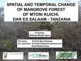 SPATIAL AND TEMPORAL CHANGE OF MANGROVE FOREST OF MTONI KIJICHI, DAR ES SALAAM - TANZANIA  Presenter Mathias Msafiri Igulu Promotor Prof Dr Nico Koedam Co- promotor Dr Farid.