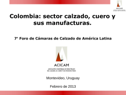 Colombia: sector calzado, cuero y sus manufacturas. 7° Foro de Cámaras de Calzado de América Latina  Montevideo, Uruguay Febrero de 2013