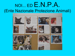 E.N.P.A.  NOI... ED (Ente Nazionale Protezione Animali)   Gilberto Germani, referente dell'E.N.P.A. di Monza, ci ha parlato di alcuni dei piccoli animali che spesso ospitiamo nelle.