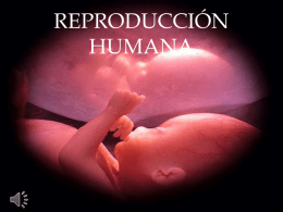 REPRODUCCIÓN HUMANA    La reproducción es un proceso biológico que permite la creación de nuevos organismos, siendo una característica común de todas las formas de.