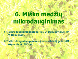 6. Miško medžių mikrodauginimas 6.1 Mikrodauginimo metodai (dr. D. Danusevičius, dr. V. Baliuckas). 6.2 Mikrodauginimo panaudojimas selekcijoje ir miškų ūkyje (dr.