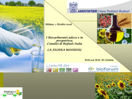 Milano, 1 Ottobre 2008  I Biocarburanti adesso e in prospettiva: L’analisi di Biofuels Italia LA FILIERA BIODIESEL  Dott.ssa M.R.